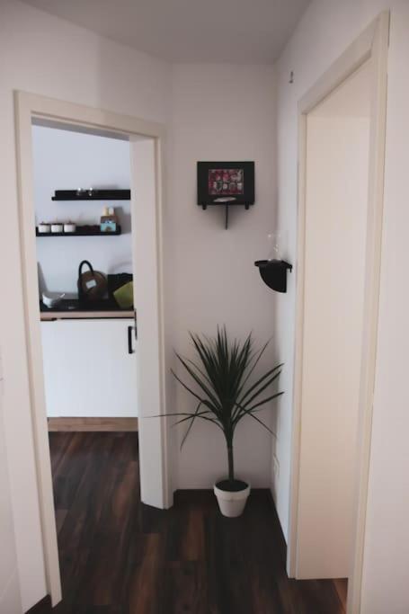Schoene Wohnung Top Lage Koeln Work & Relax & Travel Frechen Zewnętrze zdjęcie